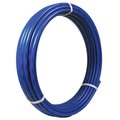 Homestead 0.75 in. Pex Coil Pipe Blue HO574248